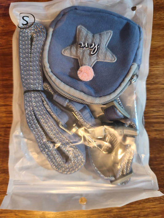 Arnés con Mochila + Correa